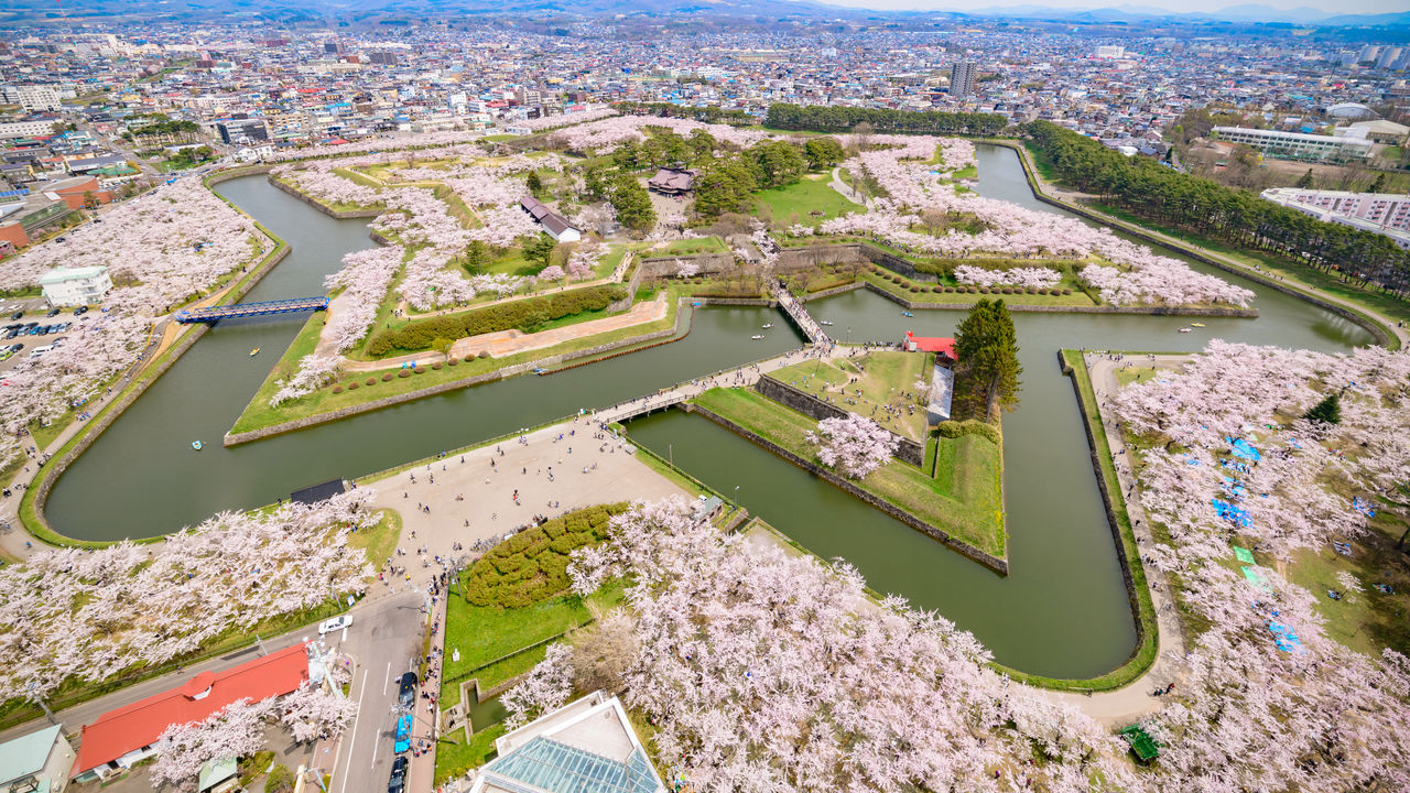 五稜郭公園の桜21 開花予想やライトアップ 駐車場情報を解説します Ririkoの知らない世界
